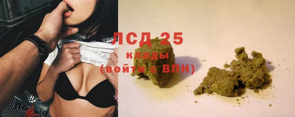 ПСИЛОЦИБИНОВЫЕ ГРИБЫ Пестово