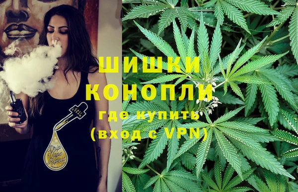 ПСИЛОЦИБИНОВЫЕ ГРИБЫ Пестово