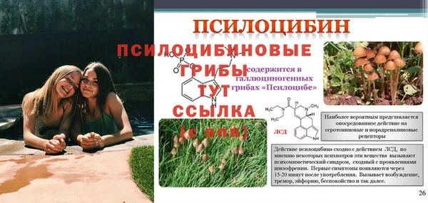 твердый Переславль-Залесский