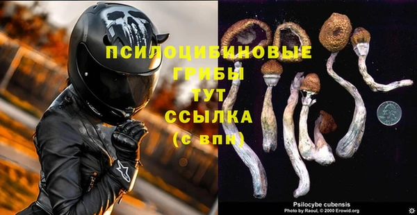 первитин Пересвет
