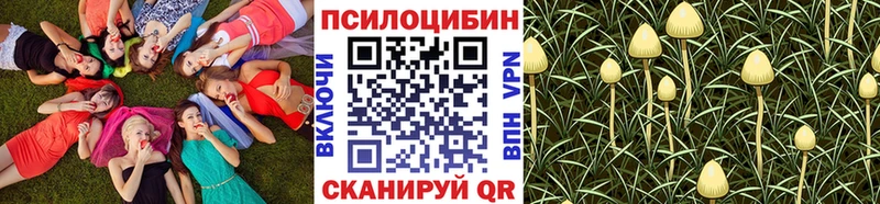 Псилоцибиновые грибы Psilocybine cubensis  купить   ссылка на мегу вход  Ртищево 