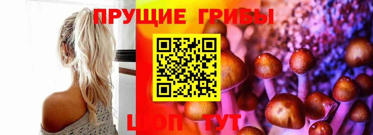 купить наркотик  Галлюциногенные грибы Cubensis  Вход с VPN  Ртищево 