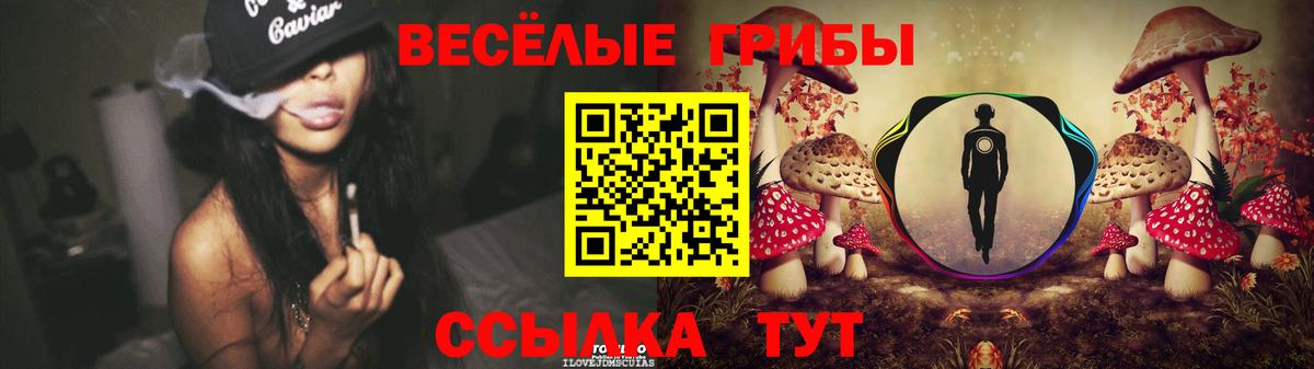 Галлюциногенные грибы прущие грибы Ртищево